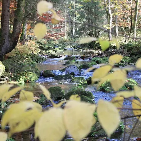 Aiginger Farm stay Grafenau (Bavaria)